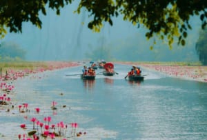 TOUR HOA LƯ TAM CỐC BÁI ĐÍNH TRÀNG AN