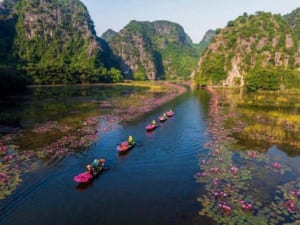 Tour Hoa Lư Tam Cốc Hang Múa