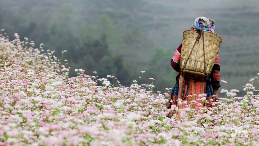 TOUR - HÀ GIANG - CAO NGUYÊN ĐÁ ĐỒNG VĂN 3Đ2N 2026 1 Tour Hà Giang Cao nguyên đá Đồng Văn 3 đêm 2 ngày trọn gói Ktravel