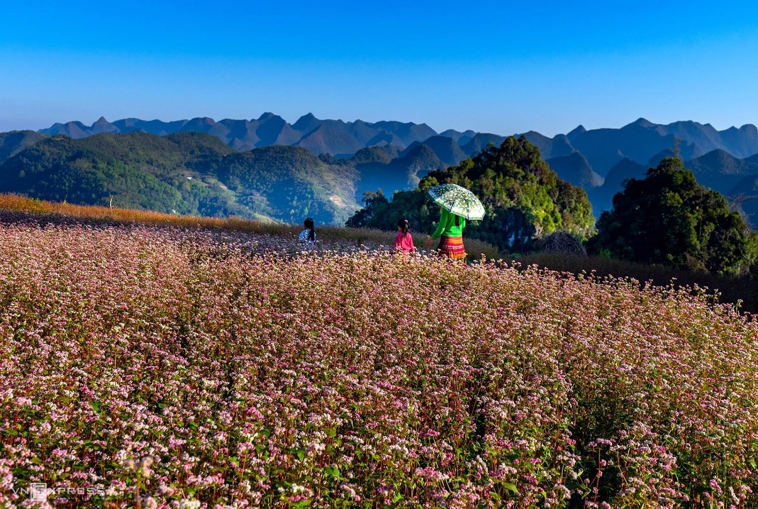 TOUR - HÀ GIANG - CAO NGUYÊN ĐÁ ĐỒNG VĂN 3Đ2N 2026 2 Tour Hà Giang Cao nguyên đá Đồng Văn 3 đêm 2 ngày trọn gói Ktravel