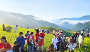 TOUR - MÙ CANG CHẢI – TÀ XÙA - 3N2Đ 2026 3 Tour Mù Cang Chải Tà Xùa 3 ngày 2 đêm trọn gói Ktravel